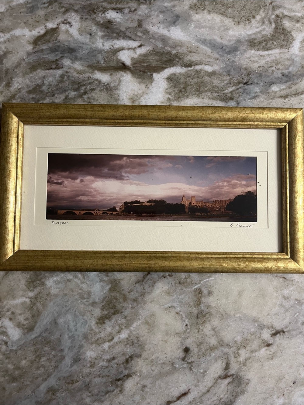 Unbranded Gold Framed Panoramic Landscape Wall Art
